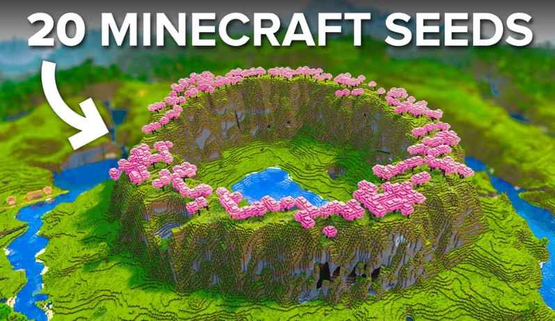 Best Minecraft Seed